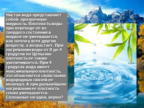 Основы лайкры и ее уникальные свойства