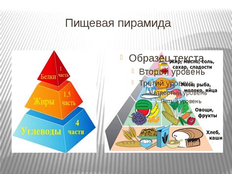 Основы правильного питания для увеличения силы броска