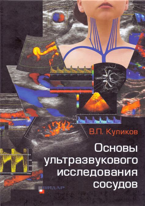 Основы ультразвукового исследования сердца