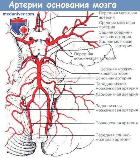 Основы фарватера на водной артерии: суть и значимость