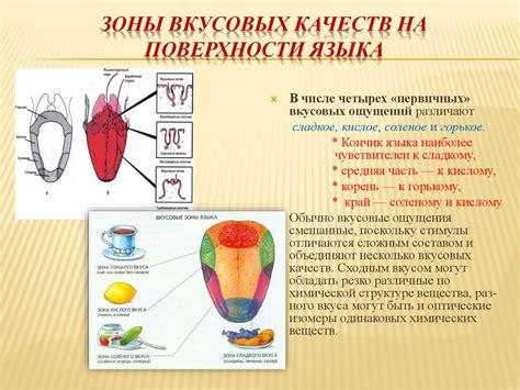 Особенности вкусовых и ароматических качеств натурального ванильного продукта