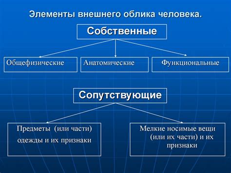 Особенности внешнего облика ландышев