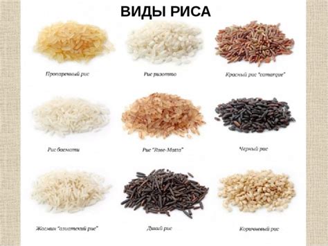 Особенности готовки бурого риса: оптимальное соотношение воды и риса