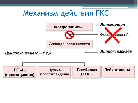 Особенности действия глюкокортикостероидов
