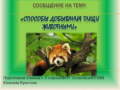 Особенности добывания голдфилда