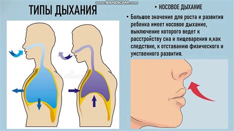 Особенности дыхания в вокальной методике Георгия Пике