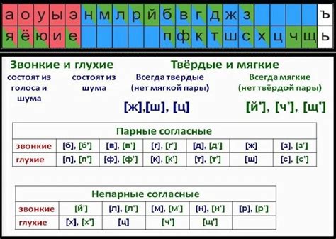 Особенности звучания звонких согласных