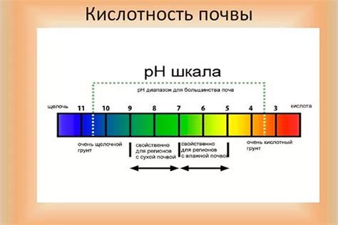 Особенности изменения кислотности почвы для гортензий в разных климатических условиях