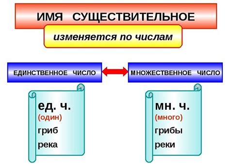 Особенности и различия единственного и множественного числа в существительных