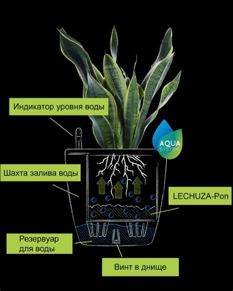 Особенности конструкции кашпо с автополивом