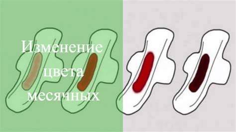 Особенности месячных и их происхождение