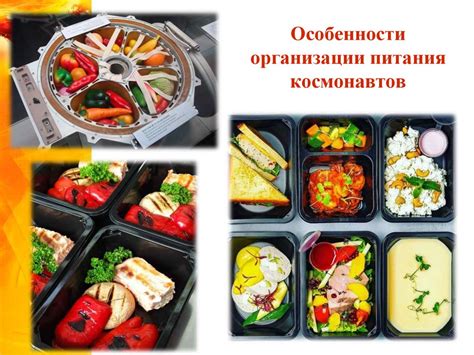 Особенности организации питания и отдыха во время продолжительного путешествия по дороге