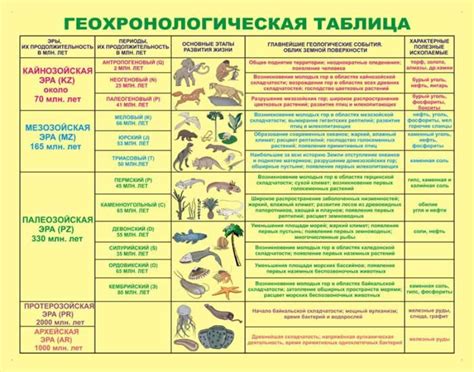 Особенности орошения тыквенных растений в разные периоды их развития