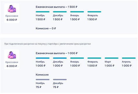 Особенности оформления рассрочки для разных типов продуктов