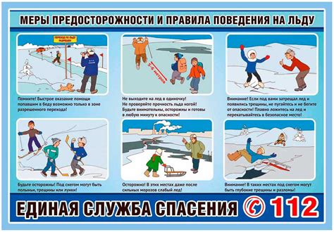 Особенности поведения сазана в осенний период
