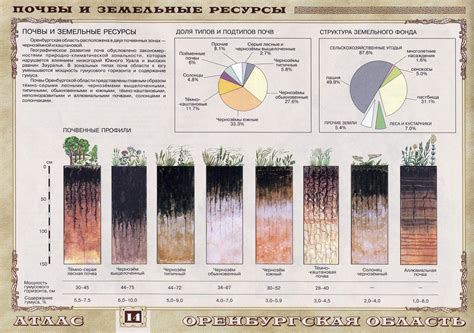 Особенности подкормки при различных типах почвы