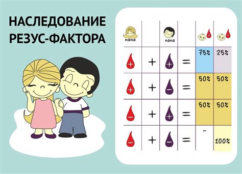 Особенности положительного и отрицательного резус-фактора крови