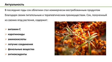 Особенности производства облепихового масла: методы и технологии