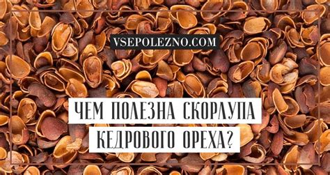 Особенности промывки кедровых орехов для устранения горечи