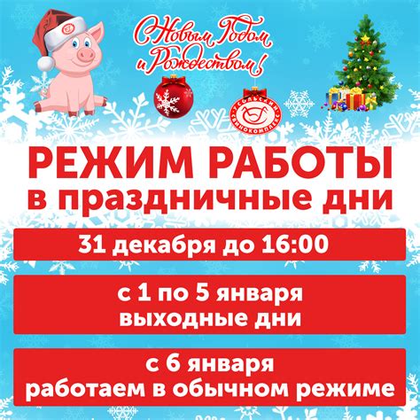 Особенности работы Цефея в праздничные дни