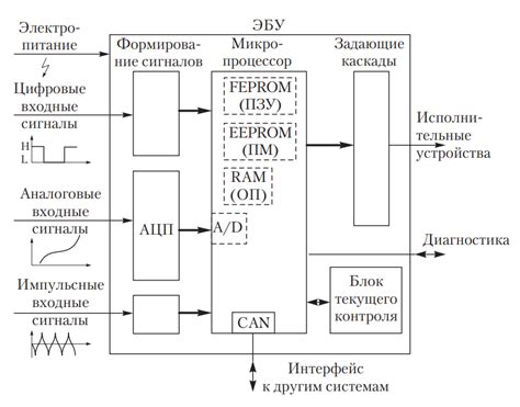 Особенности управления автомобилем в зависимости от системы передачи движения
