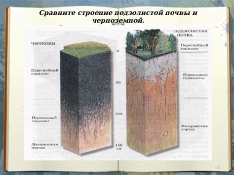 Особенности черноземной почвы и ее отличия от обычной грунтовой массы