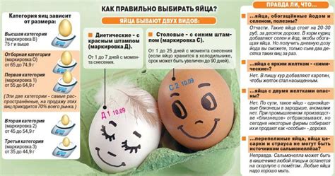 Особенность поворота яиц и предписания его проведения
