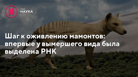 Осознание причин упадка активности: первый шаг к оживлению энтузиазма