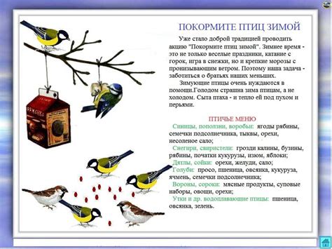 Оставьте птицам в жердочках комфорт и безопасность