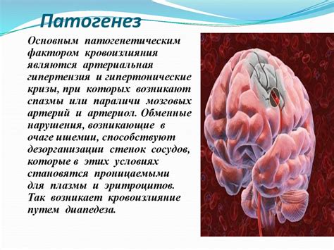 Острое нарушение кровообращения: критическое состояние организма