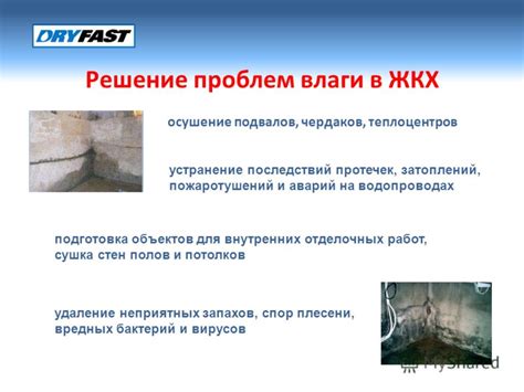 Осушение помещения и устранение последствий