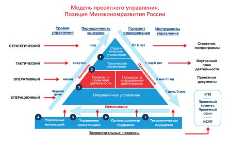 Ответственности и права главных подразделений в управлении проектами