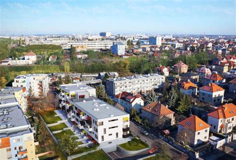 Ответы на самые распространенные вопросы об уходе за суккулентами