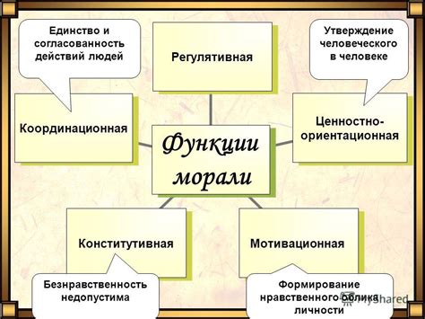 Отделы, отвечающие за движение и согласованность действий