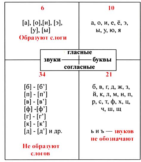 Отличительные черты гласных и согласных звуков в русском языке