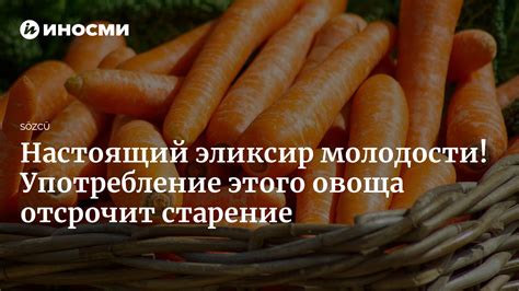 Отличное решение для сохранения вкуса и полезных свойств мелкой моркови на протяжении всего года