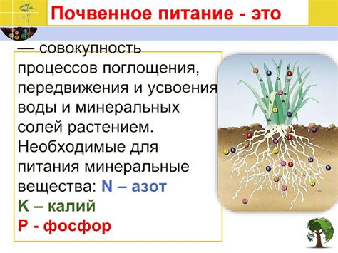 Отсутствие необходимых микроэлементов