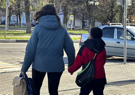 Отсутствие привычных мест для отметок территории: как это может повлиять на поведение щенка