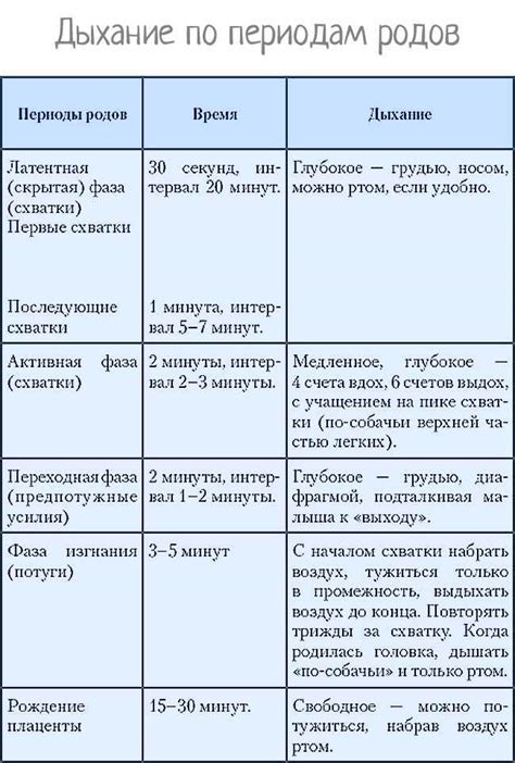 От подготовки до выкидыша плода: этапы схватки во время родов