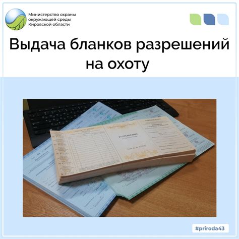 Оформление необходимых бумаг и разрешений