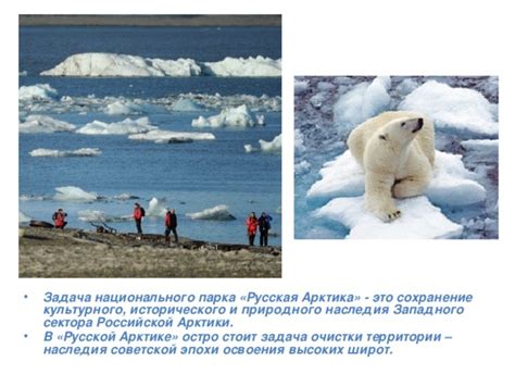 Охрана и сохранение уникального природного наследия территории национального парка