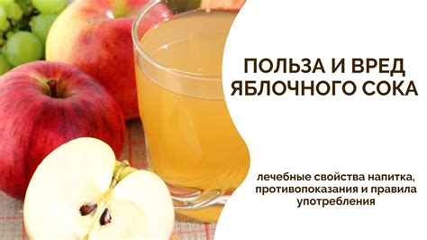 Оценка качества и аромата завершенного яблочного напитка