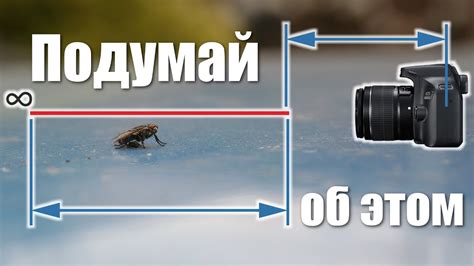 Оценка точности фокусировки при выборе нового объектива