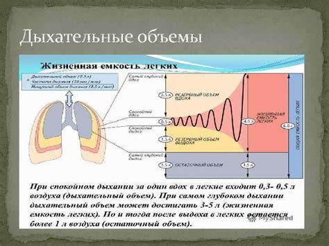 Оценка функции дыхания и сердцебиения у пострадавшего