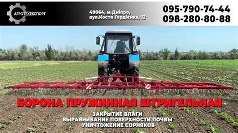 Очистка и выравнивание поверхности почвы