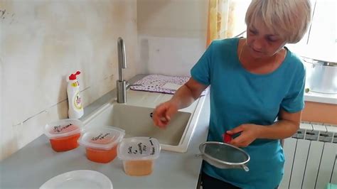 Очистка и промывка семян солнечника