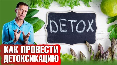 Очищение от загрязнений и детоксикация: основные принципы и эффективные подходы