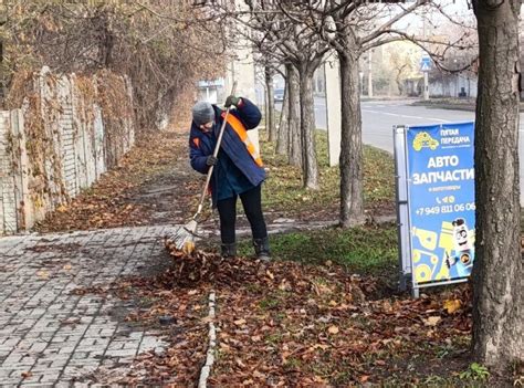 Очищение от листвы и засохших веток