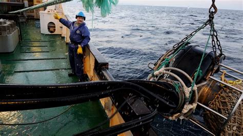 Очищение от остатков морской добычи: необходимые этапы