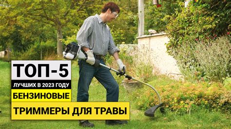 Ошибки в уходе за участком и способы их исправления